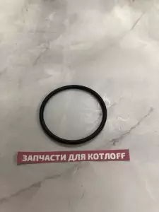  Прокладка Protherm Медведь