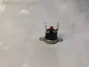  Термостат 100 градусов PROTHERM