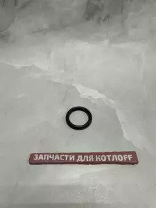 Прокладка PROTHERM Пантера Рысь 2000801956 Прокладка PROTHERM Пантера Рысь 2000801956